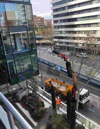 edificio the windows building